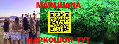 амф Кингисепп