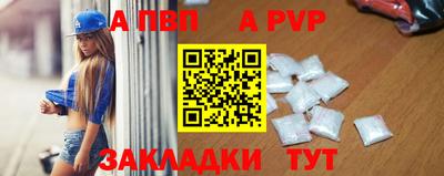 амф Кингисепп