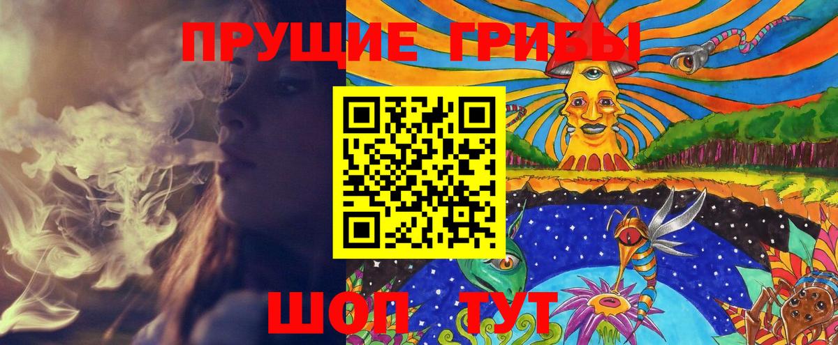 Псилоцибиновые грибы Cubensis  Псилоцибиновые грибы Psilocybe  Вход с VPN  Пятигорск 